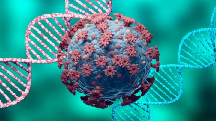 Detectan nueva variante BA.3.2 de Covid : así está evolucionando del virus estos son los síntomas