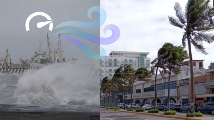Así van las rachas máximas de Norte en Veracruz hoy 28 de marzo por frente frío