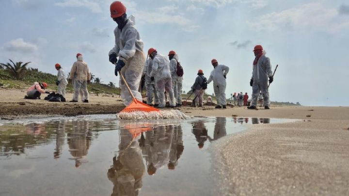 Recolectan más de 700 toneladas de contaminante en costas