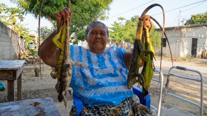 Zapotecos alistan platillo de iguana que se consume en Semana Santa en Oaxaca