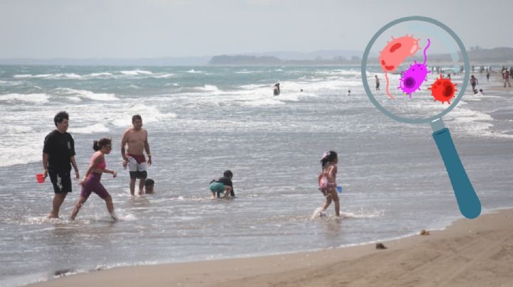 Semana Santa 2026: Las 6 playas más limpias de Veracruz según COFEPRIS y SEMARNAT