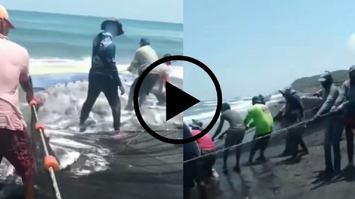 VIDEO: Pescadores de Alvarado logran captura de jurel en medio de derrame de petróleo