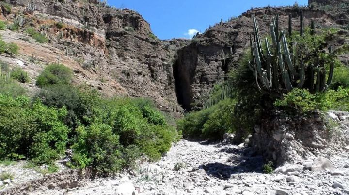 En Hidalgo, se encuentra la Peña Partida donde se dice es hábitat de seres gigantes; todo esto te espera