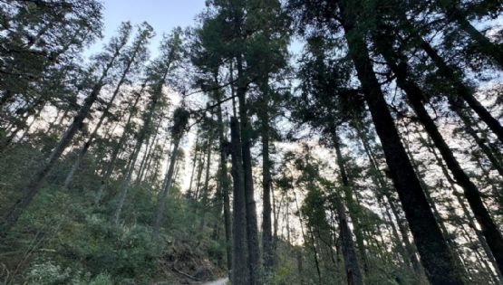 3 de marzo: celebrando la naturaleza que estamos destruyendo