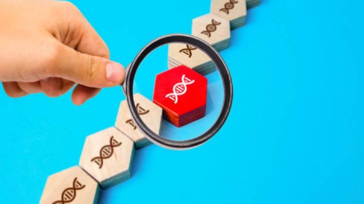 ¿Qué hacer cuando heredas una mutación genética que puede provocarte cáncer?