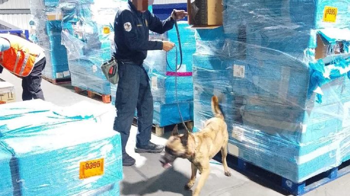 Decomisan 1.4 millones de cigarros piratas en el AICM; valen mil 100 mdp