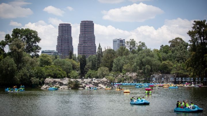 Cine gratis en lancha en Chapultepec: así puedes registrarte para Ambulancha 2026