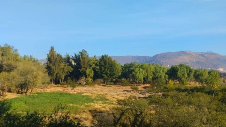 Este parque en León es un paraíso de aves, agua y árboles