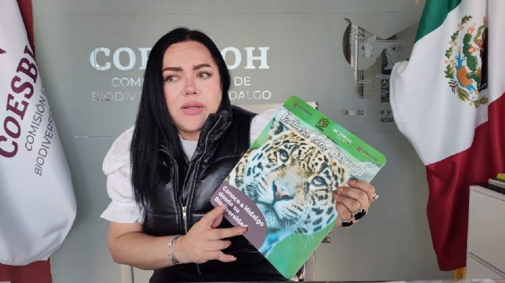 Registran al menos 7 jaguares silvestres en Hidalgo, destinan 4 mdp para su conservación