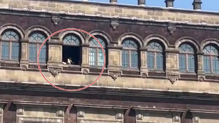 Sheinbaum desmiente a Jenaro Villamil y a InfodemiaMX: mujer sí se asoleó en ventana de Palacio Nacional