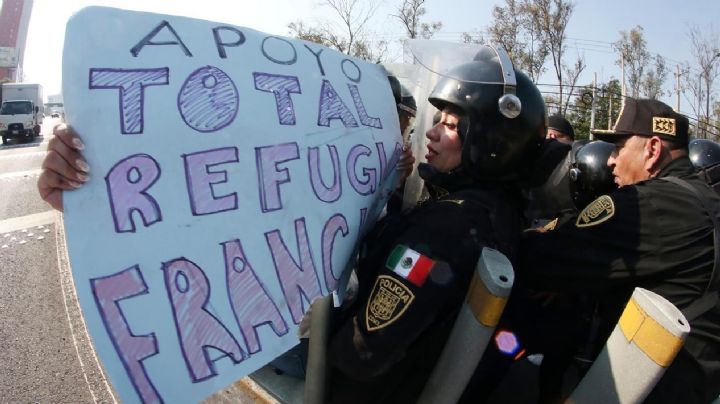Activistas amagan con plantón en la carretera México-Toluca para exigir regreso de perros al Refugio Franciscano