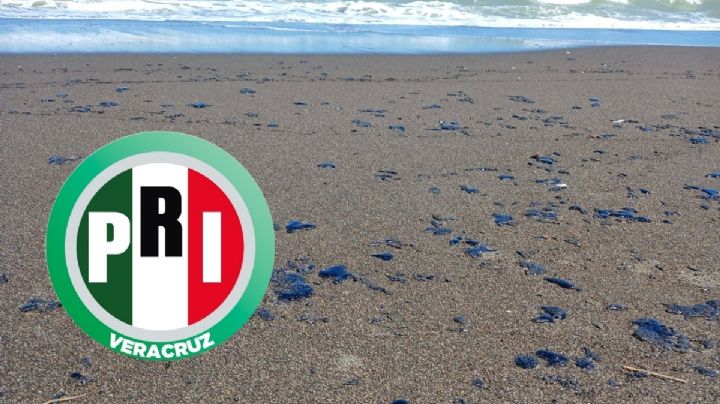 PRI presenta denuncia por derrame de petróleo en costas de Veracruz y señala omisión de autoridades