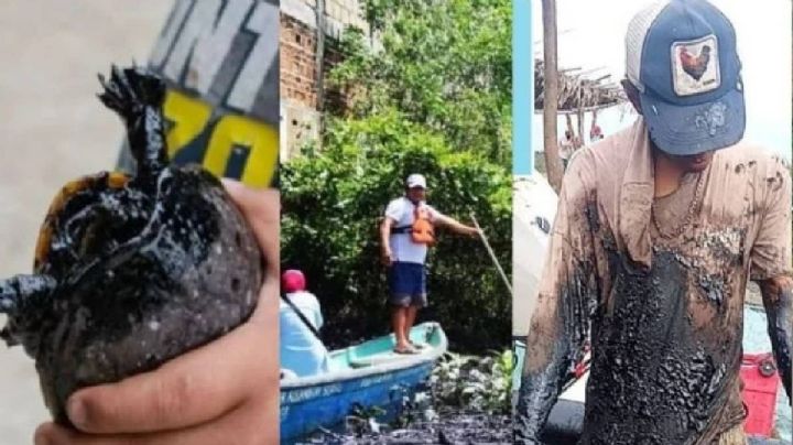 Derrame en el Golfo de México comenzó en febrero, no en marzo: ambientalistas