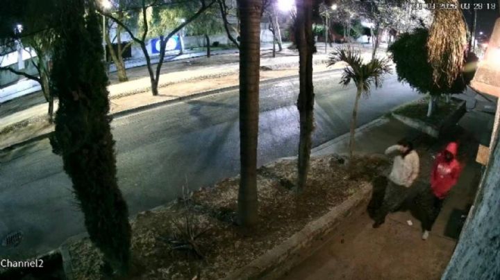 Robos en Paseo de Jerez: comerciantes sufren pérdidas económicas graves
