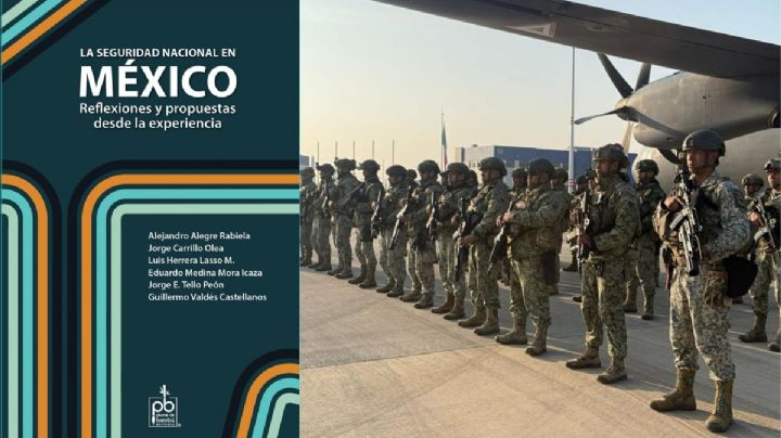 “Nido de espías”: ¿seguridad nacional vs. seguridad pública? (parte 1)