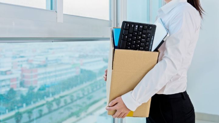 Tirando el empleo por la ventana