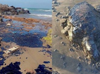 Denuncian derrame de hidrocarburos en costas de Tabasco