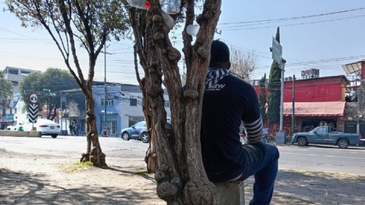 Bienestar para familias migrantes: Inicia programa de apoyo 2026 en Hidalgo