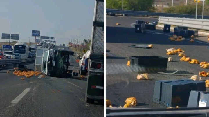 Se vuelca camioneta y pollos salen “volando” en la Irapuato-Silao