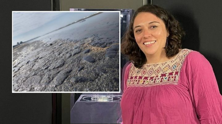 Tras 4 días no se ha detectado origen de derrame en costas del sur de Veracruz, reconoce PC