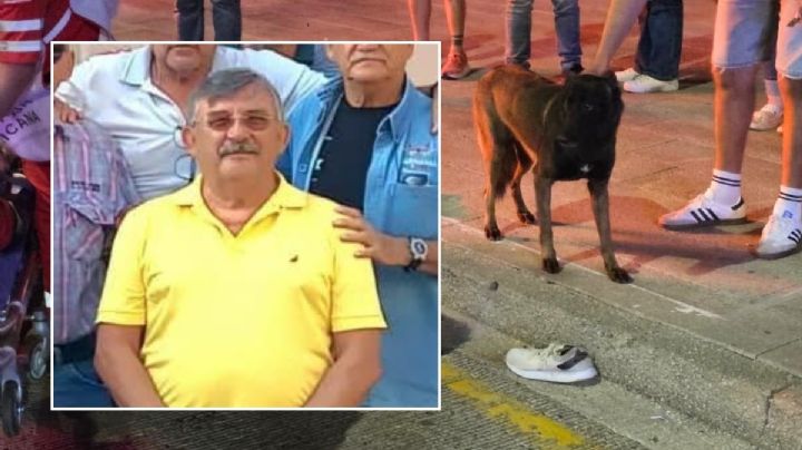 Él era Danilo, padre y vecino; salió a pasear con su perro y murió atropellado en bulevar de Veracruz