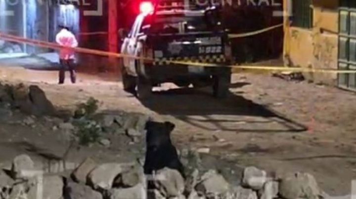 Atacan a balazos a tres adolescentes en León, uno murió y dos están graves