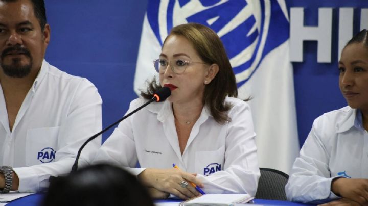 Advierte PAN que la reforma electoral de Sheinbaum podría dejar sin plurinominales a Hidalgo