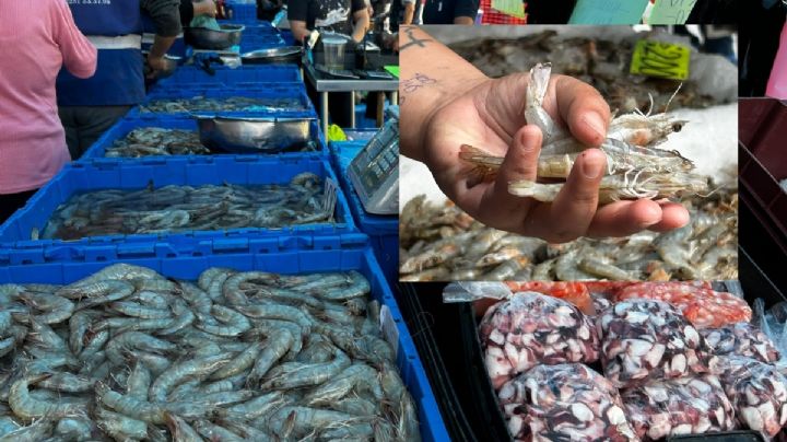 Pescaderías de La Rotonda, Xalapa aseguran que mariscos no provienen del Golfo de México tras derrame