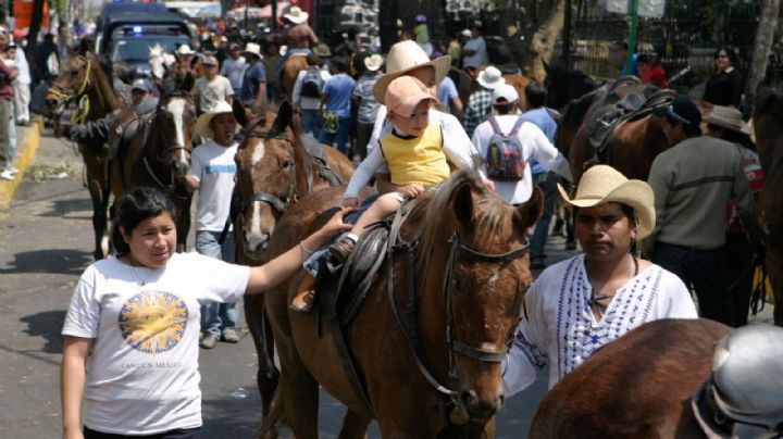 Juez ordena proteger a caballos que participan en la Pasión de Iztapalapa