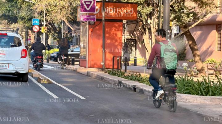 Regresan ciclovía en avenida Chapultepec tras quejas de usuarios