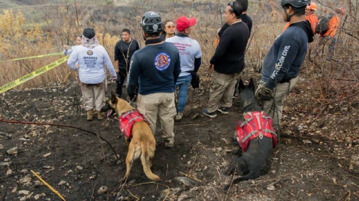 Madres buscadoras hallan restos óseos de un adulto en cerro de Chiapas