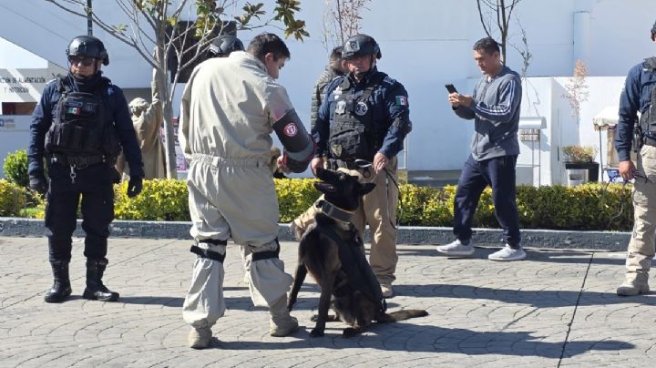 Unidad canina ayudó a encontrar a tres niños y un adulto mayor en Mineral de la Reforma