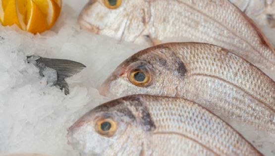 México y Portugal gastronómico