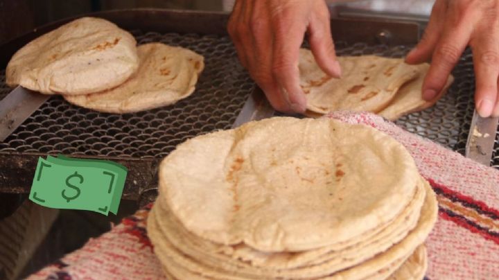 Profeco descarta incremento en precio de la tortilla, subirá de 2 a 4 pesos: empresarios