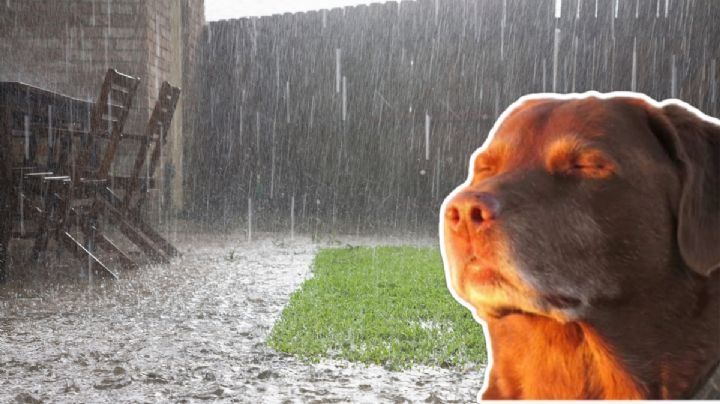 ¡Va a seguir lloviendo! Alerta por tormentas y granizo en Hidalgo este 12 de abril