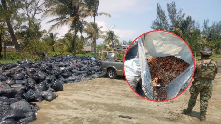 Bolsas en playas de Pajapan contienen sarzago, no hidrocarburo, aclara Semar