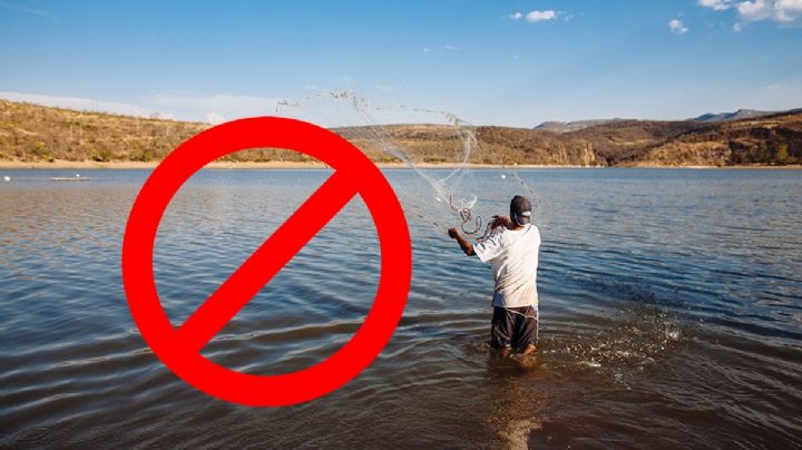 Prohíben pescar, vender y comer los peces en la presa de este municipio de Hidalgo