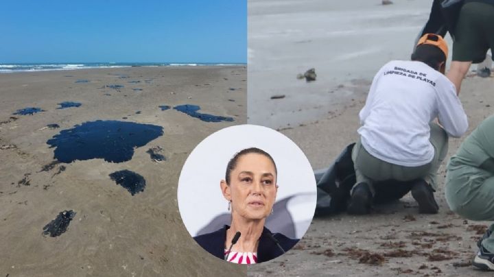 ¿Qué pasa con el petróleo recolectado en Veracruz por derrame? Esto dijo Sheinbaum