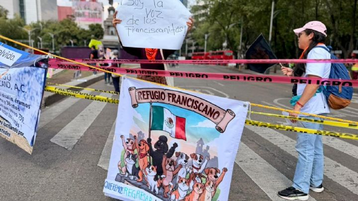 “Sin franciscanos no hay Mundial”: animalistas bloquean Reforma e Insurgentes