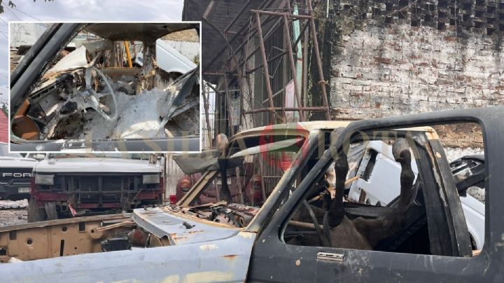 Caballo muerto en inundaciones de Poza Rica cumple 6 meses atorado en camioneta