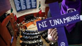 Foto que representa a Senado aprueba reforma para expedir Ley Federal contra feminicidio