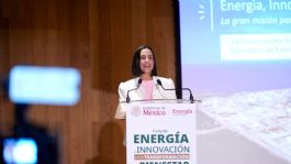 Foto que representa a Sector privado será aliado clave en la consolidación del sector energético de Sheinbaum: Sener
