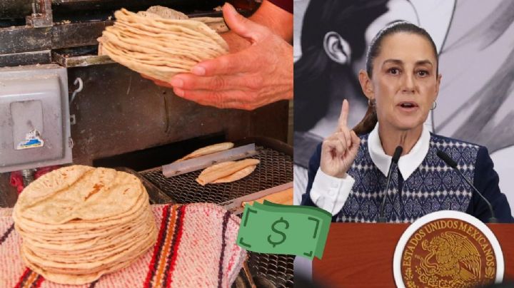 No hay razón para aumentar precio de la tortilla: Sheinbaum refuta alza en Veracruz el 15 de abril
