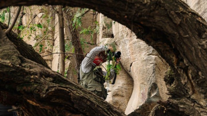 Tienen hasta 4 mil años, las pinturas rupestres encontradas entre Atotonilco y Tepeji del Río