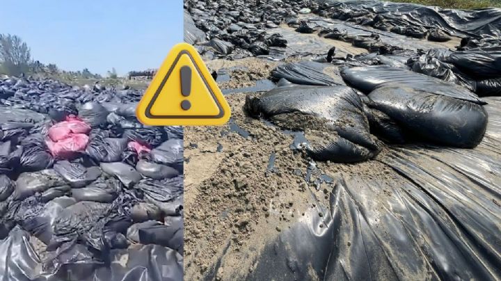 VIDEO: Pobladores de Pajapan, evidencian acumulación de bolsas de hidrocarburo en Playa Linda