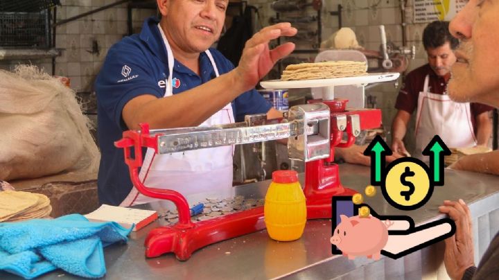 Amanecen tortillerías de Veracruz-Boca del Río con aumento del precio, pese a regaño de Sheinbaum