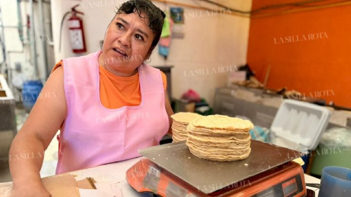 “No es sostenible”: tortilleros prevén alza hasta 28 pesos el kilo, pese a rechazo de gobierno