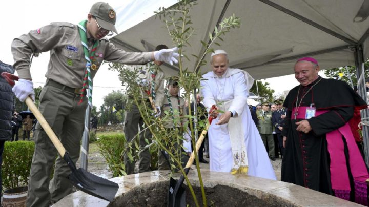 Entre el olivo del Papa y el narcisismo del poder