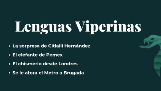 Lenguas Viperinas