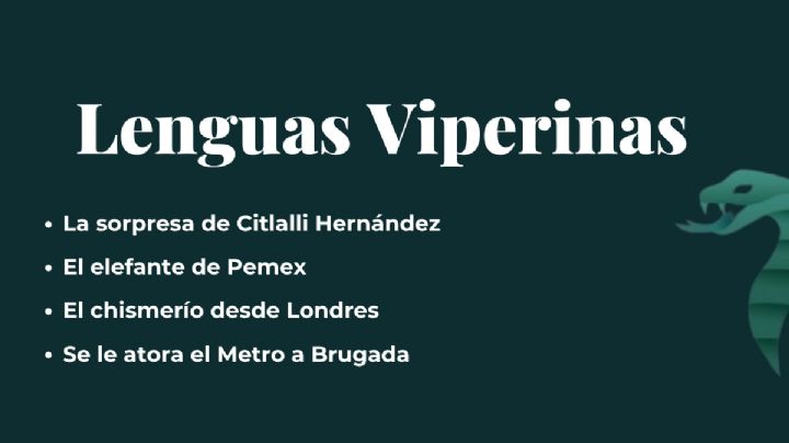 Lenguas Viperinas